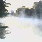 jardim-botanico
