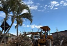 Mais de 1,3 mil caminhões de entulhos já foram retirados das ruas de Goianésia; ação contribui para queda de casos de dengue