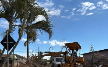 Mais de 1,3 mil caminhões de entulhos já foram retirados das ruas de Goianésia; ação contribui para queda de casos de dengue