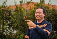 Ações da Anglo American restauram ecossistemas, criam trilhas e levam saneamento ecológico para zonas rurais